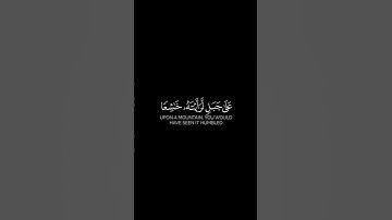 ما تيسر من سورة الحشر بصوت القارئ عبد الله البعيجان