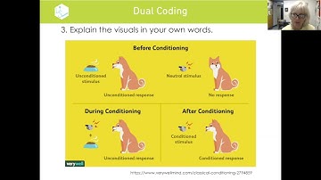 Dual Coding