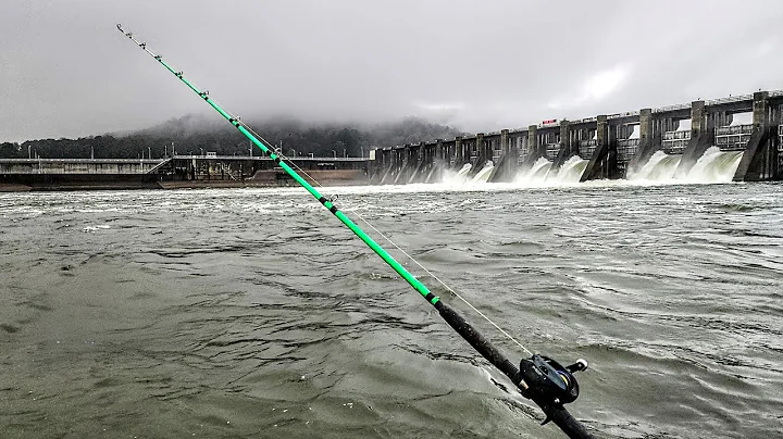 The Part of Catfishing NO ONE TALKS ABOUT!!! (Dam Fishing)