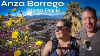 Anza Borrego State Park...Palm Trees, Slot Canyons and Wildflower Super bloom!...A CALIFORNIA GEM!!