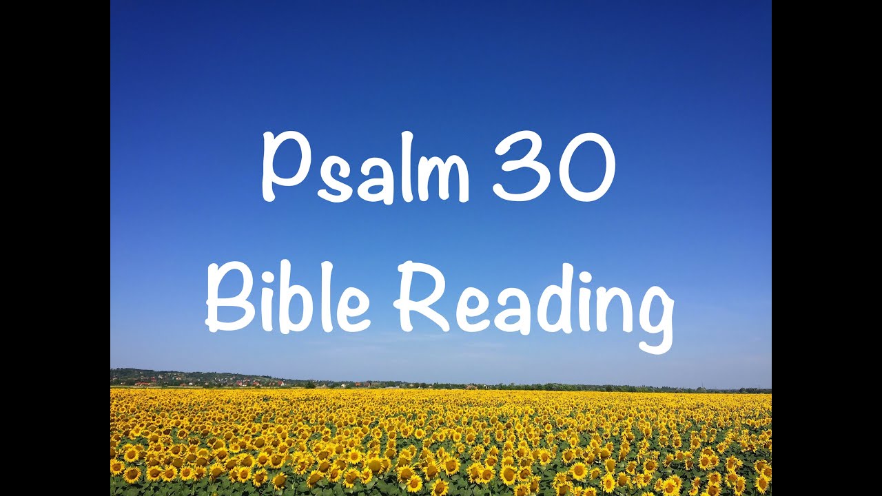 Proverbs 31 30 Niv Version Proverbs 31 30 Niv Version