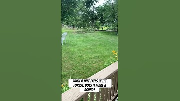 When a Tree Falls in the Forest, Does it Make a Sound? #tree #trees #logging #shorts