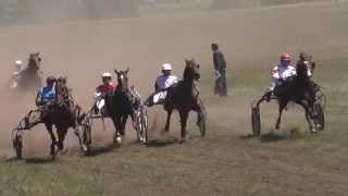 Бега в Краснотуранске 7 заезд 2015(Лошади-Horse–Animal-racing-конь-смотреть-онлайн-скачки) Бега в Краснотуранске 7 заезд 2015(Лошади-Horse–Animal-racing-конь-смотреть-онлайн-скачки)