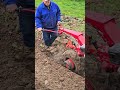 Красный плуг хорошо пашет. Мотоблок Беларус. #казаковсергей #farming