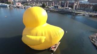 World's largest Rubber Duck