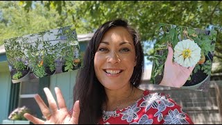 Container Garden Update | Week 7 by Onnie's Prairie Garden 85 views 1 year ago 13 minutes, 49 seconds