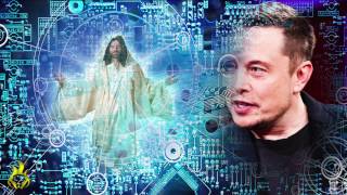 Did Elon Musk Admit D.u.m.b. Reality?