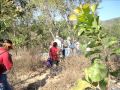 1. Agroecología comunitaria. Una propuesta pedagógica.