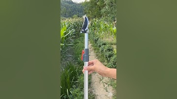Practical telescopic fruit picker #fruitpicker #gardentools #tooltips