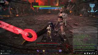 Vindictus test server Sanyaa bug