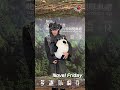 【叱咤2023】歌手多謝你 Novel Friday大派樂迷福利！