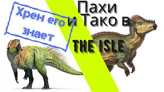Пахицефалозавр и Пситаккозавр в The isle // Рубрика 