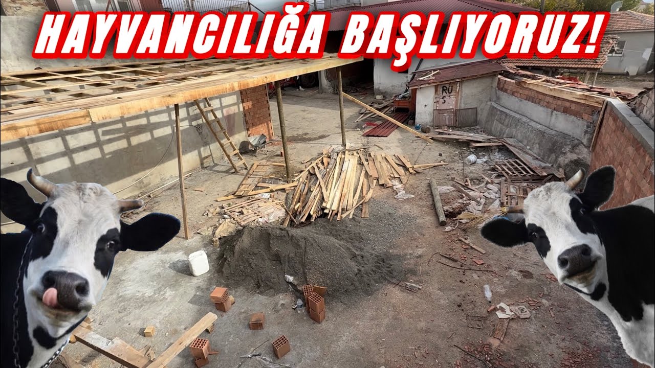  HAYVANCILIĞA GEÇİŞ//İNŞAAT SÜRECİ // SİZCE KAÇ BAŞ HAYVAN ALIR 
