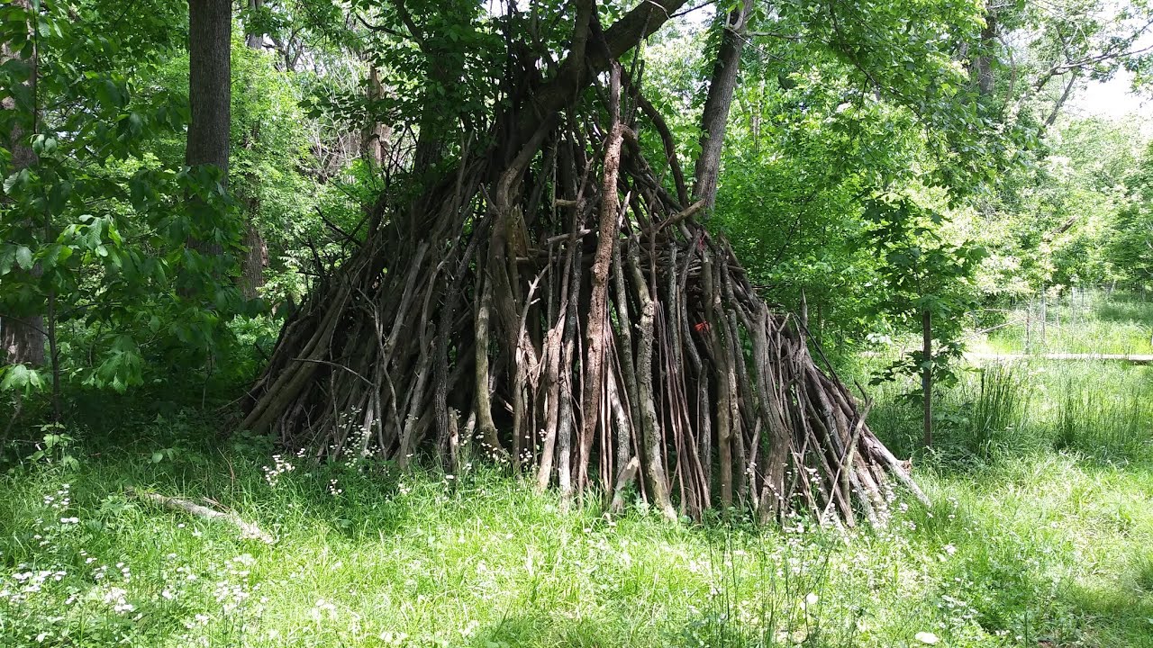 Found a large handmade structure in the woods - YouTube