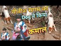 .nitishsangam dog       new comedy doglover