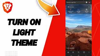 How To Turn On Light Theme On Brave Private Web Browser,VPN App screenshot 4