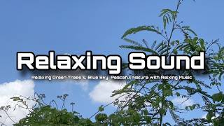 Relaxing Green Trees & Blue Sky | Peaceful Nature with Relaxing Music screenshot 3