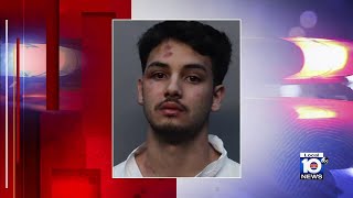 Man, 20, arrested over shooting injuring Miami-Dade officer
