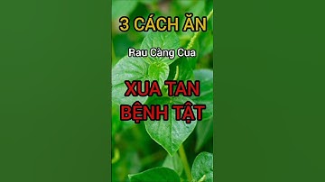 3 Cách Ăn Rau Càng Cua Xua Tan Bệnh Tật #dinhduong #health #suckhoe