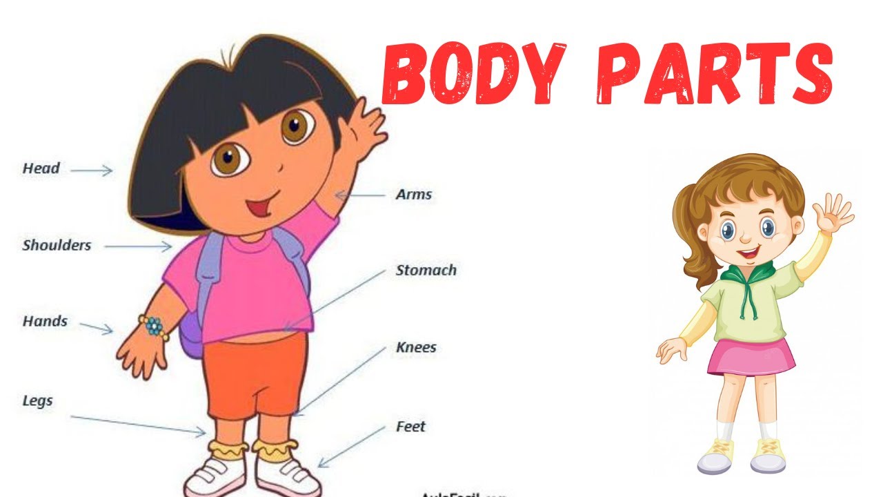 Body Parts For Kids Body Parts In English Learn English For Kids body-parts-for-kids-body-parts-in-english-learn-english-for-kids