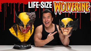 LIFE-SIZE WOLVERINE BUST with Interchangeable Heads!