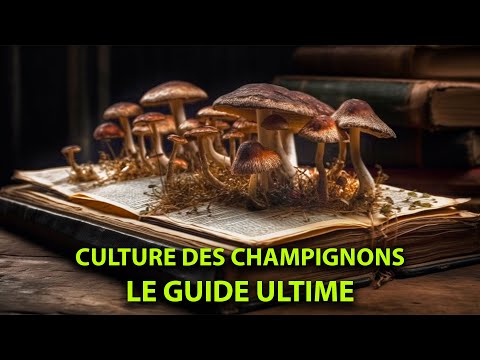 La culture de champignons sur paille