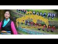 Nubri Song| Gomosergu| 2019 Tibetan Traditional Song|