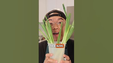 How to store green onions properly 🧅