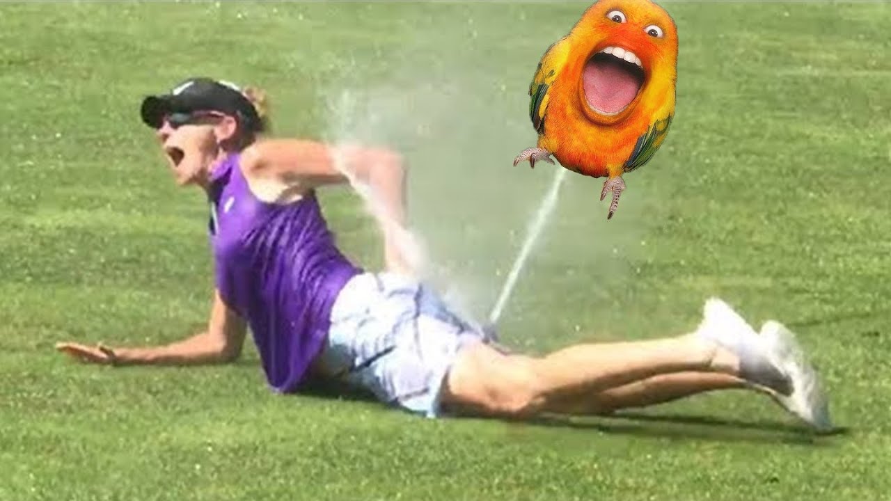 MEMES That Made Me Wet Myself YouTube