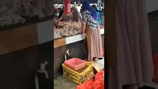 pedagang nakal Ayam dikasih air dan dipompa biar kelihatan besar, #shorts #pasar #ayam