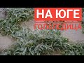 ❄️🌧️❄️08.02.2021 УЖАСНАЯ ПОГОДА НА ЮГЕ ,ВСЁ ПОКРЫЛОСЬ ЛЬДОМ,СИЛЬНЫЙ ВЕТЕР /ПОГОДА НА КУБАНИ ЗИМОЙ