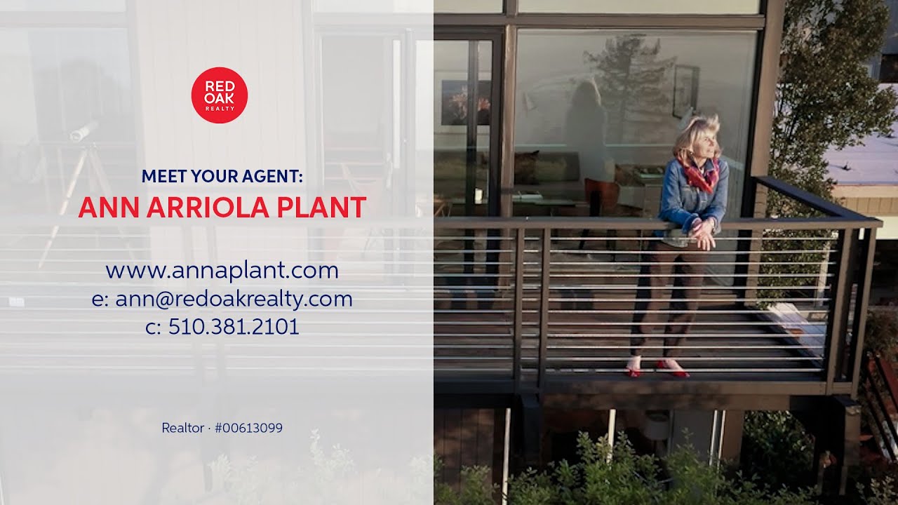 Imagine the Possibilities! Ann Arriola Plant   Top-Producing East Bay Real Estate Agent