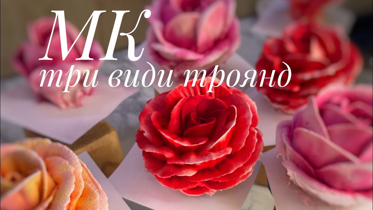 Зефір . Три види троянд