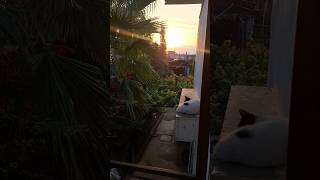 Sabahın En Güzel Saatleri Gün Doğumu Sunrise Ündoğumu Öydeyaşam