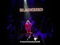 Blackbird merel koman blackbird music  temporary #short 2