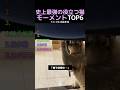 史上最強の役立つ猫モーメントTOP6