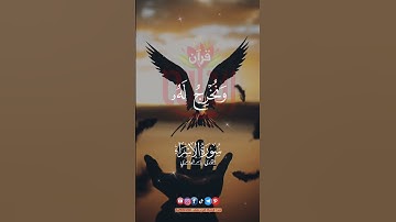 وكل انسان ألزمناه طائره في عنقه.. #ياسر_الدوسري #سورة_الإسراء #ريحانة_قرآن #قرآن #quran #ستوريات
