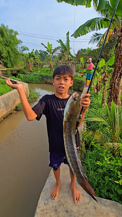 Repy got channa fish #trendingshorts