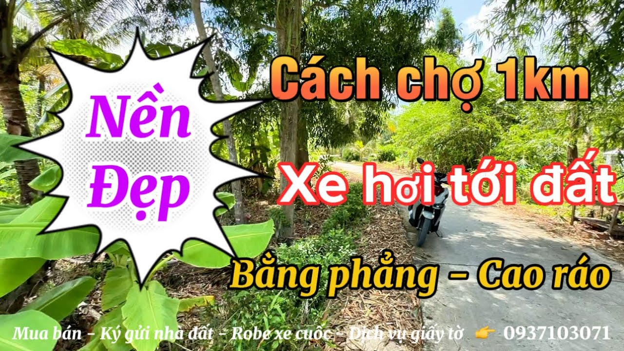 Hậu Giang | Bán nền nhà diện tích lớn giá rẻ lộ xe hơi tới đất gần chợ