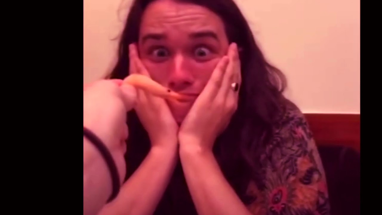 YTP ENG - King Gizzard Memes Vol. 4