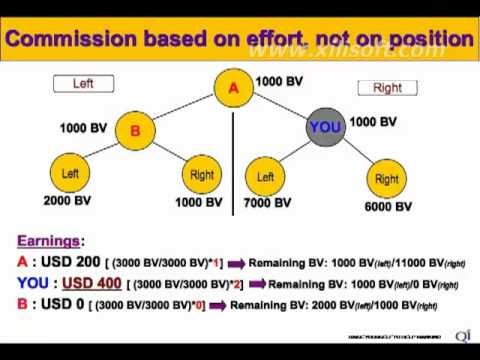 Questnet business plan