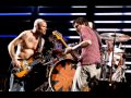 Red Hot Chili Peppers - Intro Jam (Oxegen Fest)