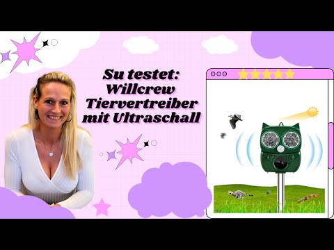 Video: Sind Katzenschrecke gut?