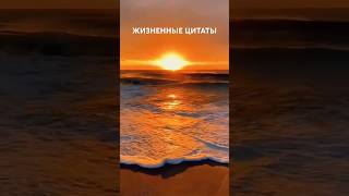 Жизненные цитаты #мотивацияивдохновение #рекомендации #мышление #психология #советы #саморазвитие
