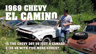 El Camino Reality Check