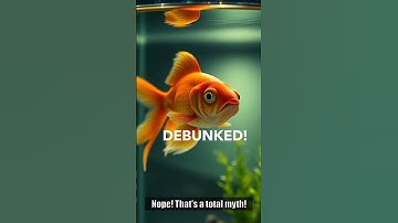 Goldfish Memory Myth DEBUNKED! 🤯 They