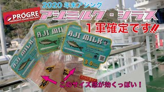 2020年末アジング　PROGREアジミルク・シラス　１軍確定です!!!!