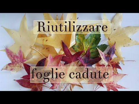 Video: Cosa Fare Con Le Foglie Cadute?