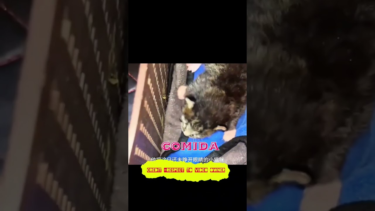 Película explicada en español 