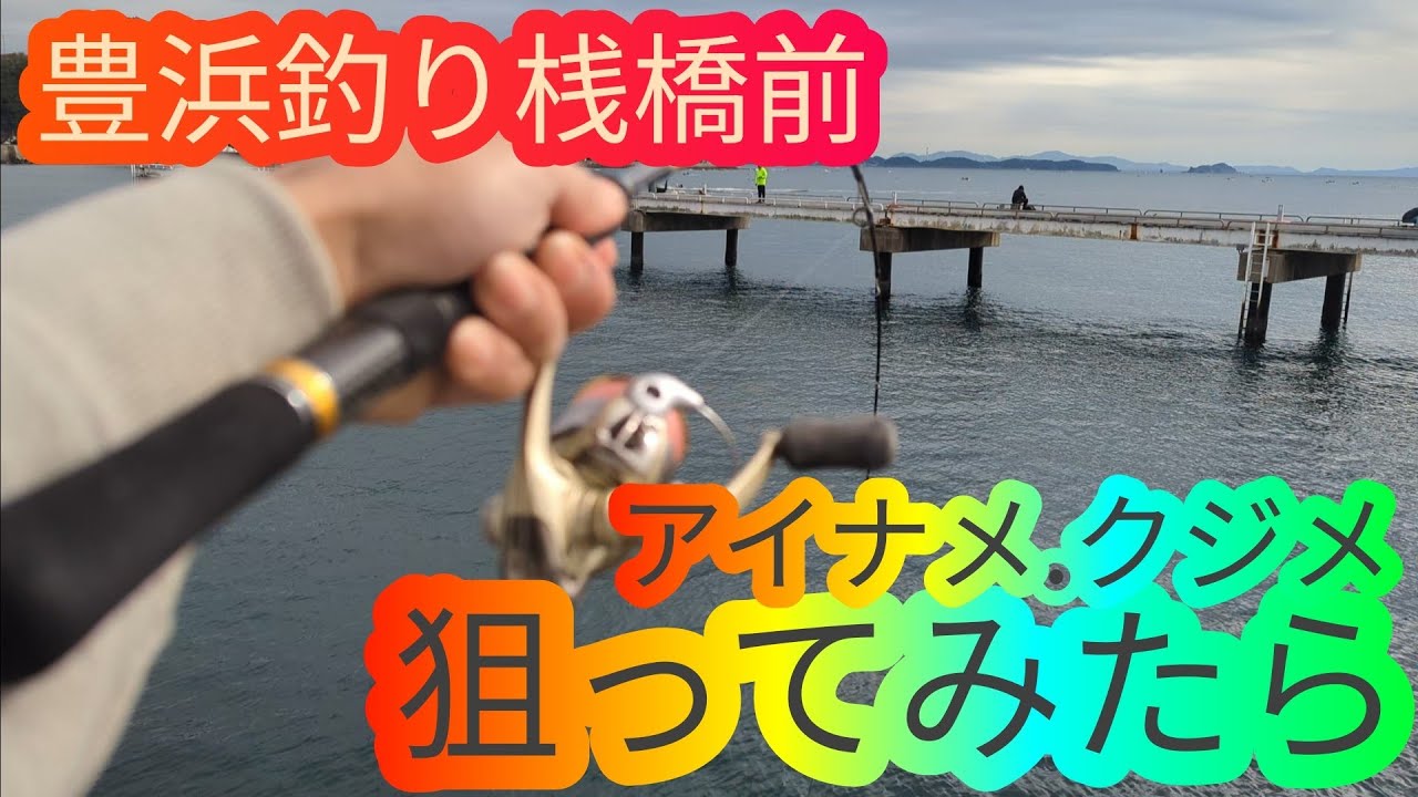豊浜釣り桟橋前でアイナメ．クジメを狙ってみたら…愛知県 知多半島 南知多 海釣り fishing 根魚 カサゴ 100均 ダイソー